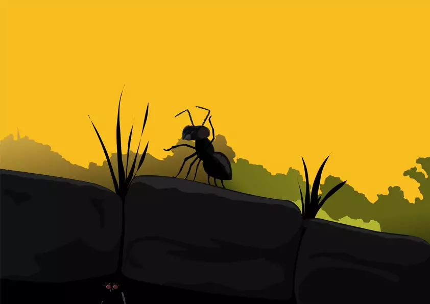 illus_1_small (3)