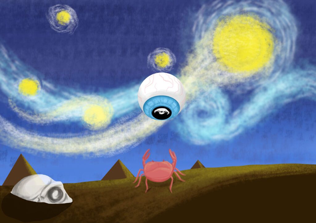 Children Find Questions Half And One children-find-questions-half-and-one